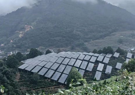 一杯“光伏茶”里的绿水青山！国内最大茶光互补电站并网发电