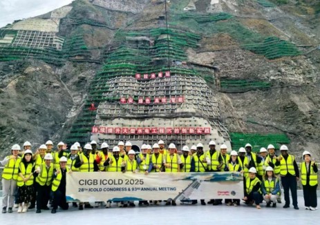 获国际大坝委员会主席点赞！11国坝工领域专家考察卡拉水电站智能建设