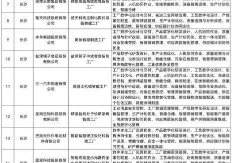 6家锂电池工厂入选！湖南2025年度先进级智能工厂