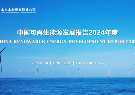 中国可再生能源发展报告2024年度：全国新型储能累