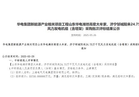 中标 | 电气风电中标华电山东及黑龙江44.75万千瓦风电项目