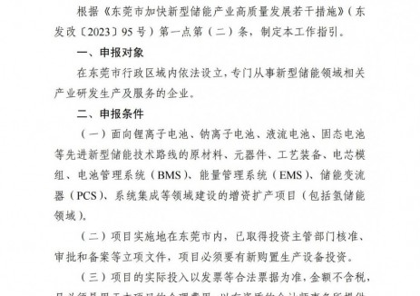 500万元！6项资助！广东东菀发布2024新型储能专