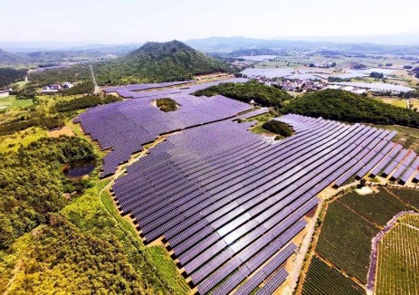 国华投资首个“茶光互补”项目全容量并网发电