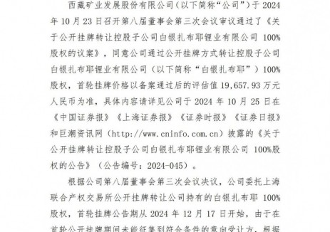 西藏矿业调整白银扎布耶锂业挂牌价至1.77亿元