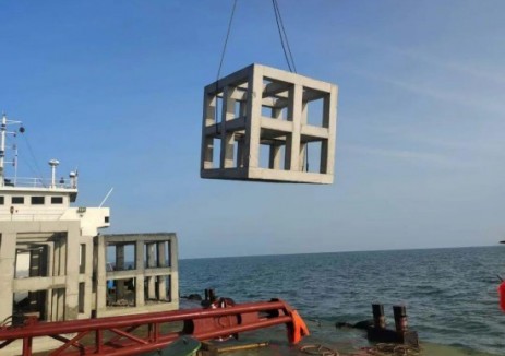 这一国家级海洋牧场示范区完成首批人工鱼礁投放