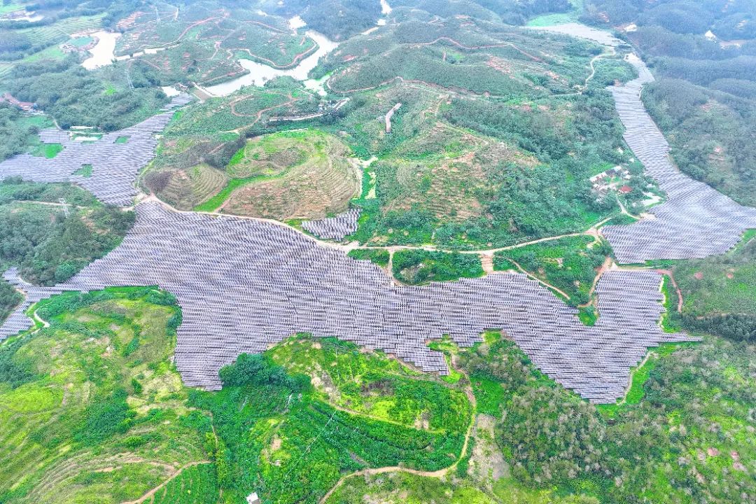 微信图片_2025-06-03_195503_626.jpg