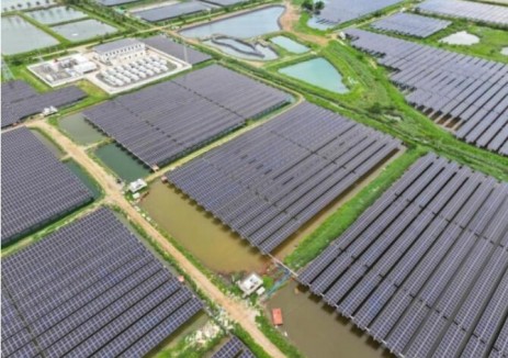 海口美兰区大跨度柔性支架渔光互补示范项目实现
