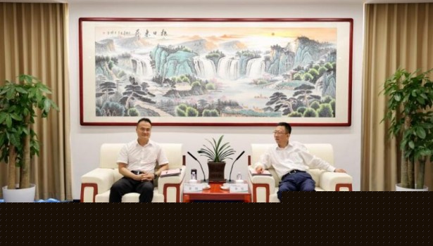 中国电力建设工程咨询有限公司与中国电气装备集团