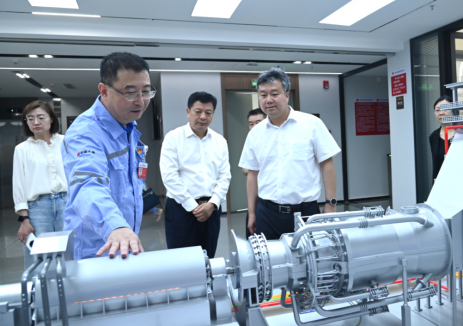 国家能源局电力司司长杜忠明到<em>大唐</em>海口公司调研
