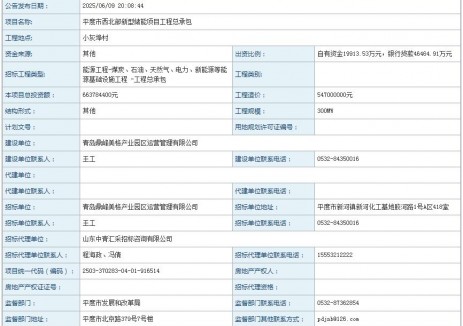 招标 | 300MW/600MWh！山东省青岛市平度市<em>西北</em>部新型储能项目工程总承包招标