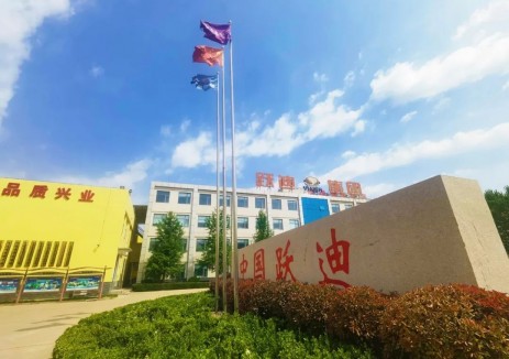 河北省石家庄市全域​跃迪新能源汽车电动化目标
