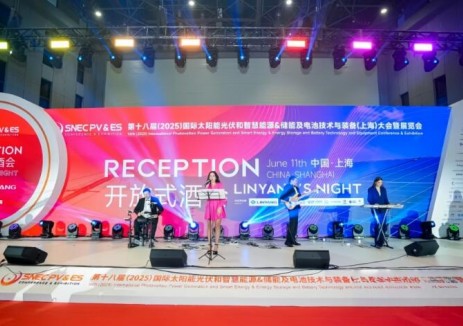 闪耀SNEC！林洋之夜汇聚全球伙伴，共赴零碳新程