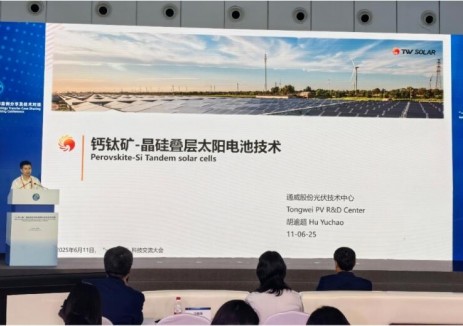 通威受邀参加“一带一路”国际技术转移案例分享及