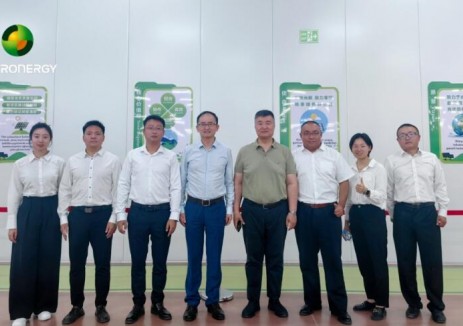 中国驻土耳其大使姜学斌一行考察正泰新能土耳其