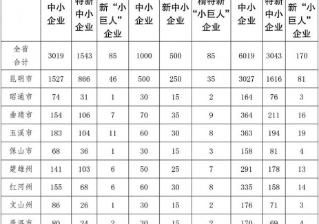 云南省专精特新企业倍增三年行动计划：推动“磷矿