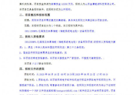 招标 | 0.49元/Wh！山东250MWh独立共享储能系统招
