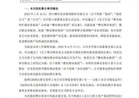 雅化集团拟组建“雅化锂业集团”整合锂业务