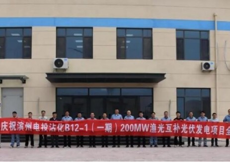 国家电投集团山东公司滨州沾化B12-1（一期）200