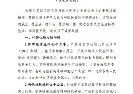 辽宁：新型储能领域向民间资本公平开放