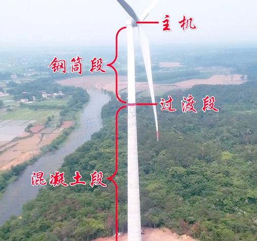 1750409824954.jpg