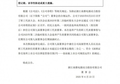 南都电源选举高秀炳为职工代表董事