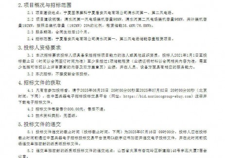 招标 | 38.4MW/76.8MWh！清水河第一、第二风电场
