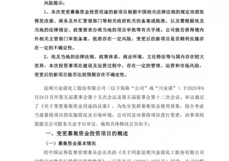 川金诺停止募投10万吨/年电池级磷酸铁锂项目