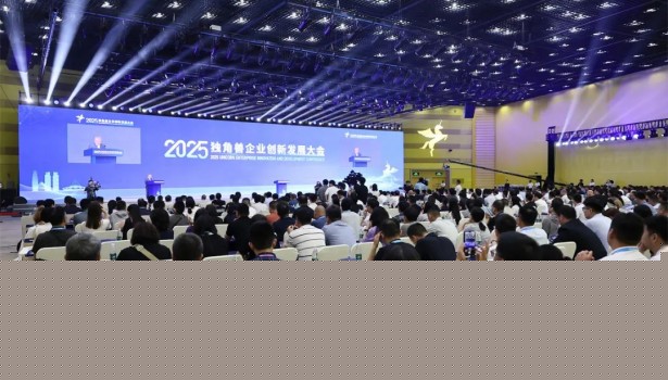 清電光伏榮登2025GEI全球獨角獸榜單，引領<em>光伏產(chǎn)業(yè)</em>新變革