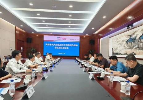 推动生物质绿色醇油示范项目建设进程！中国能建罗必雄