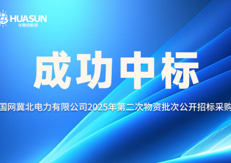 华晟高价中标国家风光储输示范工程全球最高功率组件项