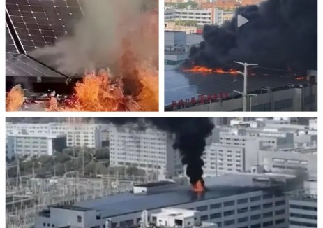 隆基 “三防组件” 持续走俏，口碑与销量双丰收的