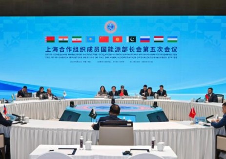 国家能源局主要负责人主持召开上海合作组织成员国能源