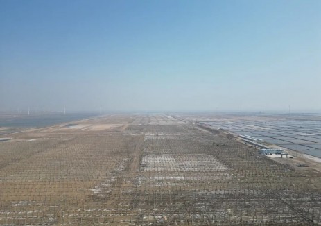 沾化新聞聚焦！中國能建東電一公司濱州光伏項目點亮<em>綠色轉型</em>新征程