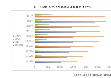 2024年中国能源进口量统计