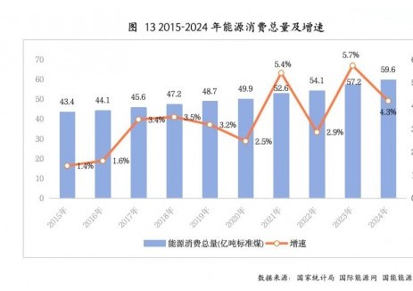 2024年，中国全年能源消费总量59.6亿吨标准煤