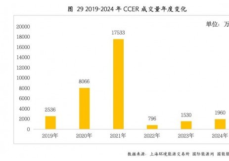 2024年，全年CCER成交量为1960万吨