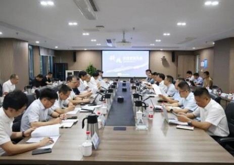 中国船舶集团科技委绿色能源与节能环保技术专业组与大唐集团开展产业发展交流