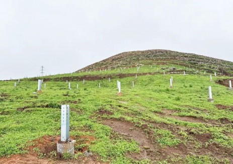 城红寨光伏发电项目总承包工程清表与桩基施工节点目标圆满完成 | 践行“双碳”战略