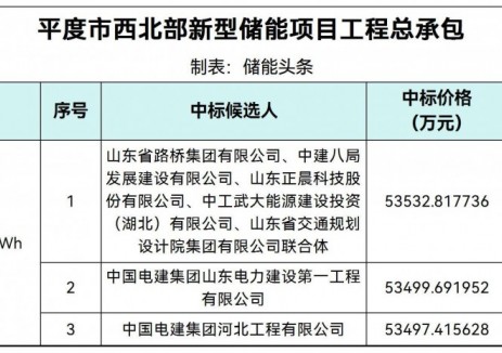 中标 | 0.8916-0.8922元/Wh！山东平度市西北部新