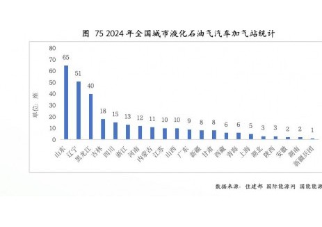 中国城市液化石油气汽车加气站总量298座