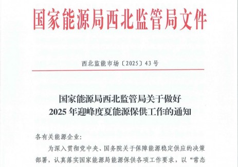 西北2025年迎峰度夏能源保供工作：促进源网荷储协