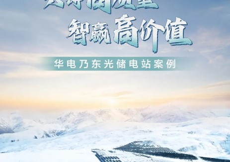 共铸高质量，智赢高价值 ｜ 第一集 华电乃东光储电站