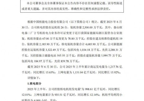 中国核电：截至2025年上半年控股光伏装机22.88GW