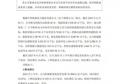 中国核电：截至2025年上半年控股独立储能电站165.10万