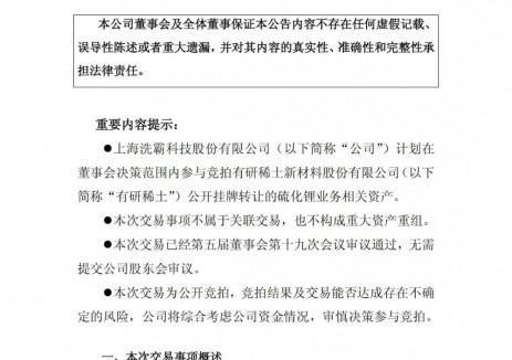 上海洗霸拟参与竞拍硫化锂业务相关资产