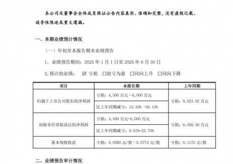 智光电气预计2025年上半年净利润亏损4500万元~600
