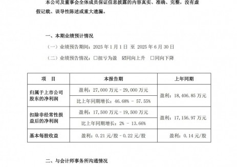 万里扬预计2025年上半年净利同比增长46.68%-57.55