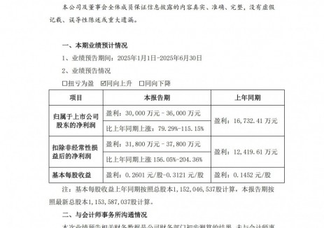 蔚蓝锂芯预计2025年上半年净利同比增长79.29%-115