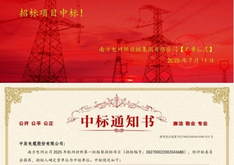 中辰电缆中标南方电网3.78亿订单！