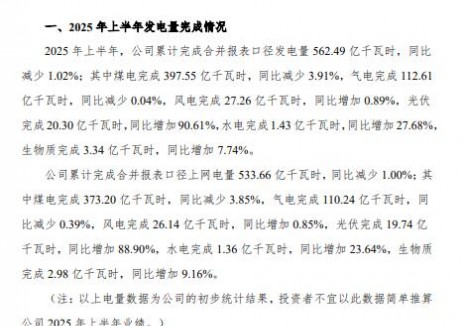 粤电力A： 广东电力发展股份有限公司2025年上半